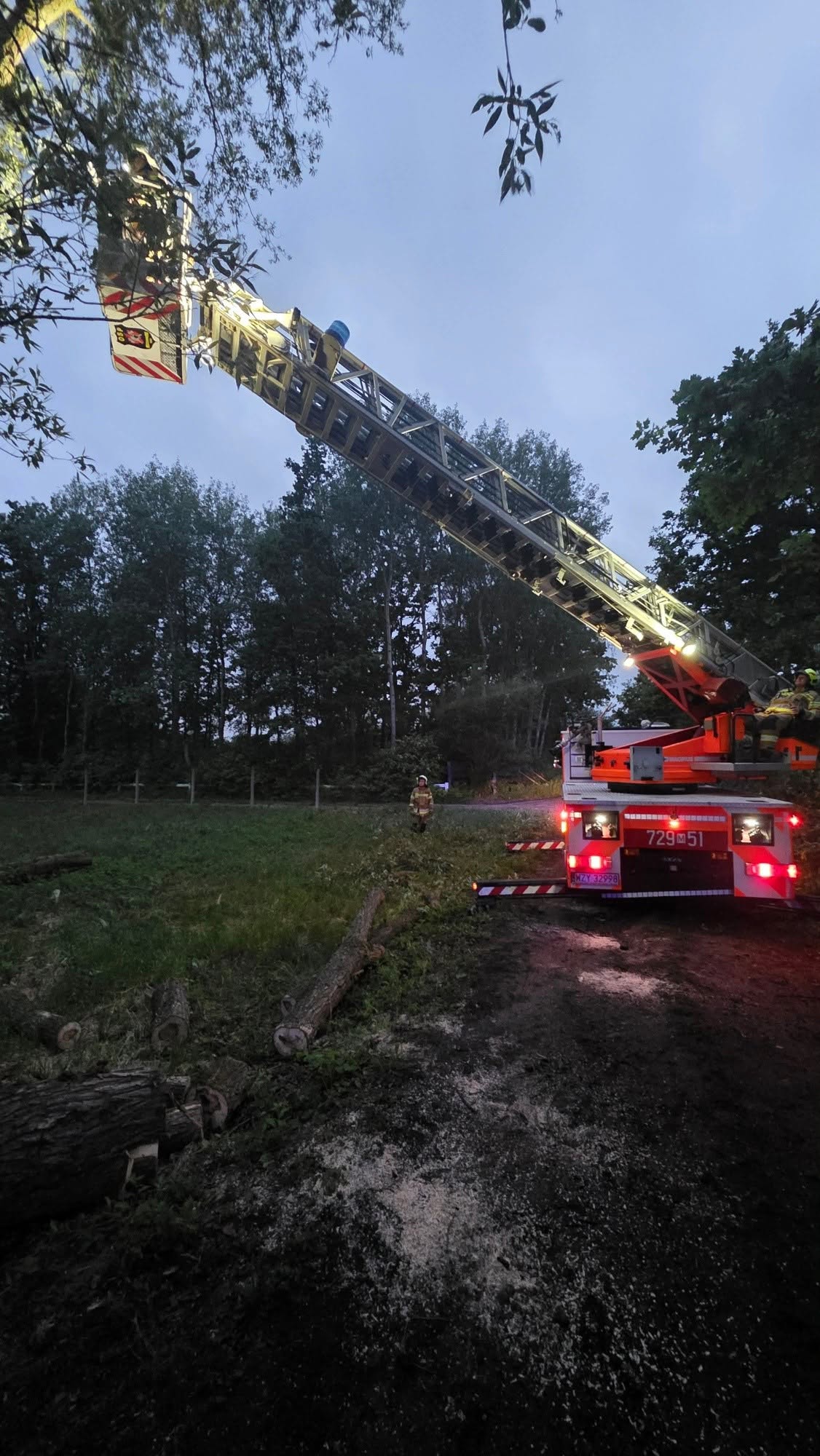 Podnośnik SD30 OSP Mszczonów podczas działań przy pochylonym drzewie w Krzyżówce