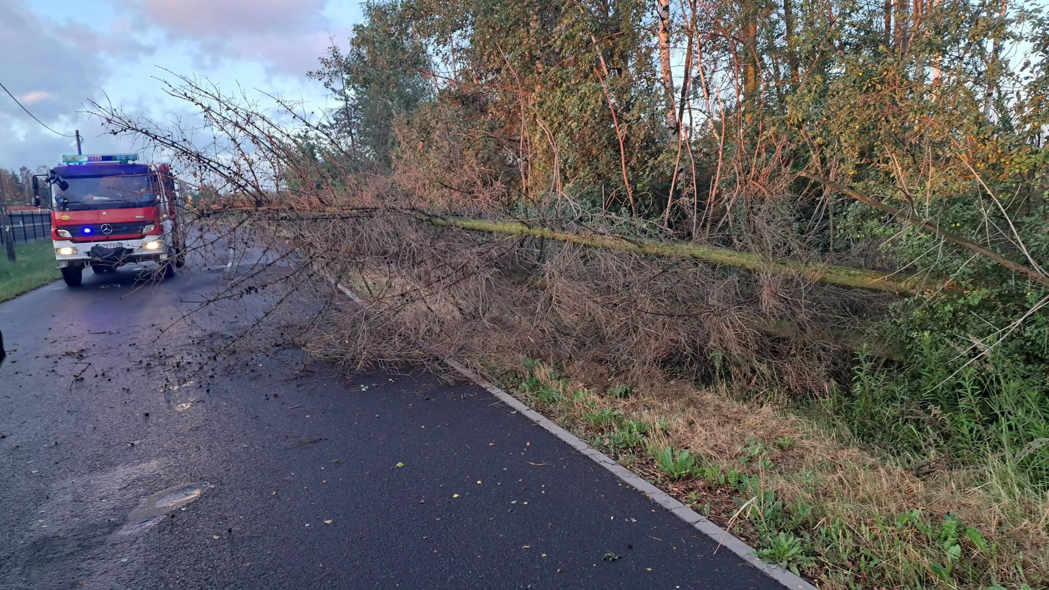 Powalone drzewo blokujące drogę w Mszczonowie i samochód OSP Mszczonów