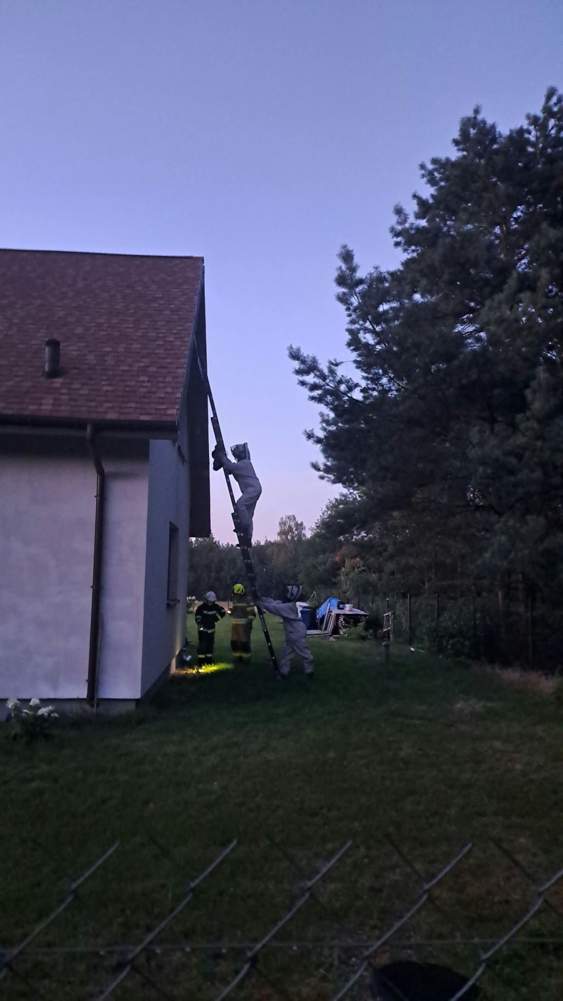 Strażacy usuwający owady błonkoskrzydłe z budynku w Badowie Górnym